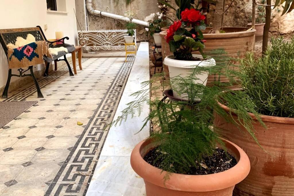 Quiet And Central Flat With Private Backyard Garden Ateny Zewnętrze zdjęcie