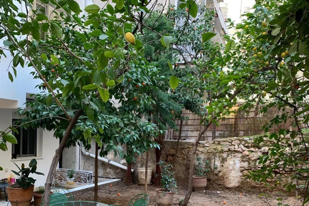 Quiet And Central Flat With Private Backyard Garden Ateny Zewnętrze zdjęcie